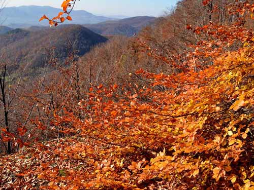 Foto In zi de noiembrie la Piatra Bixadului (c) Lucian Petru Goja